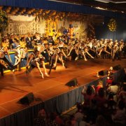 KG Fidele Bröhler Falkenjäger (11.02.12)